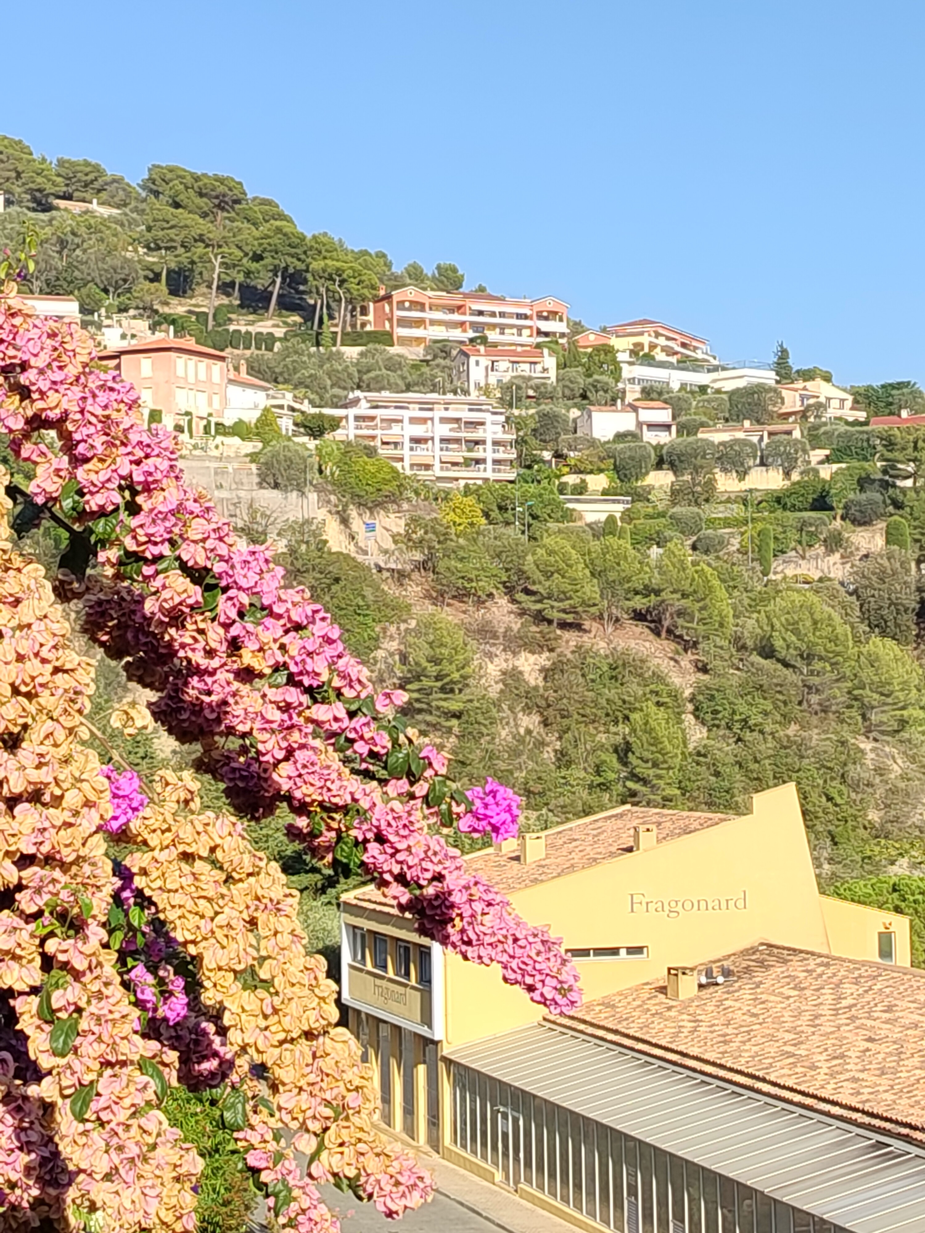 Photo n° 6 de l'avis de STONE. fait le 03/11/2023 à 04:38