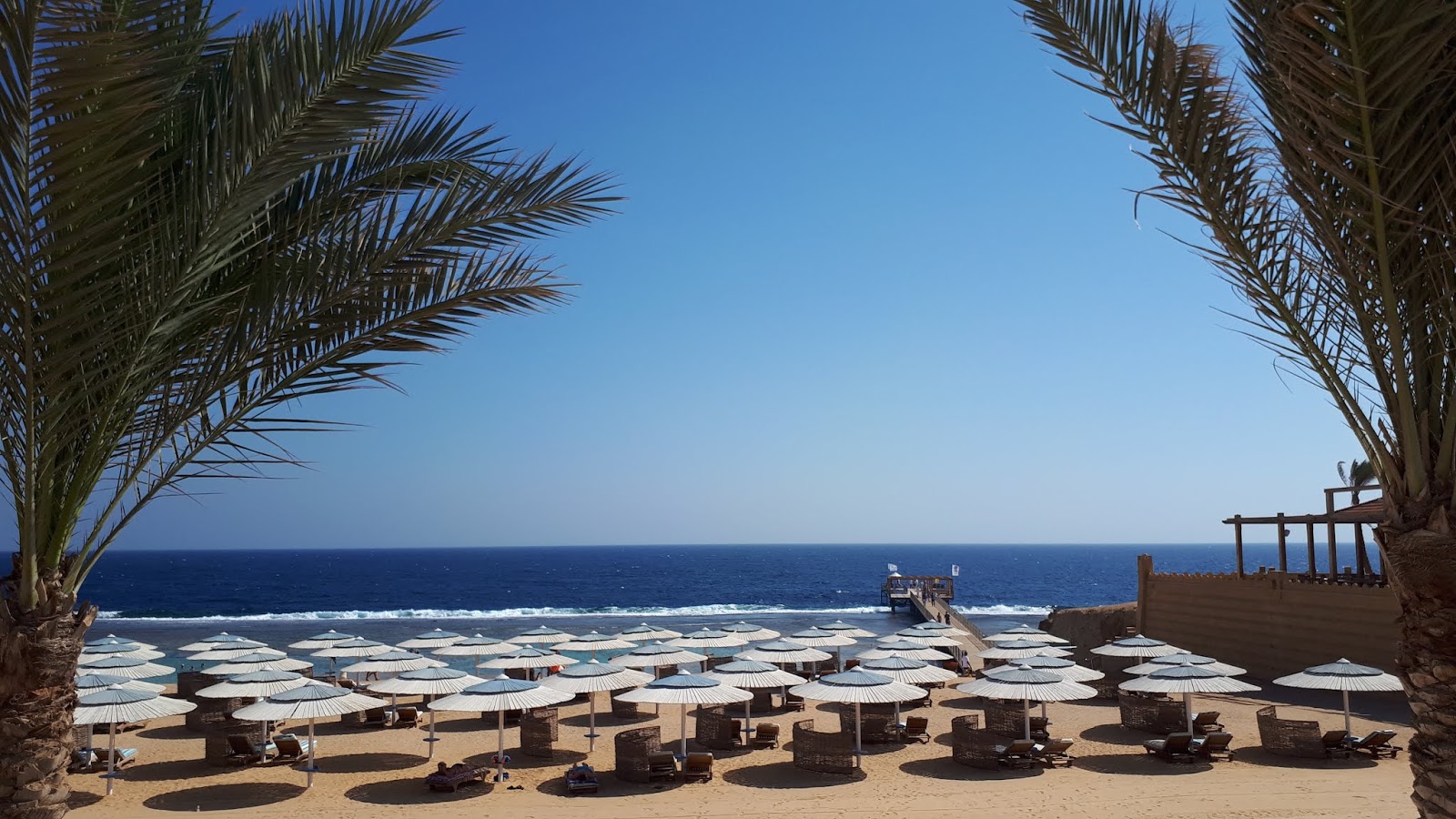 Foto av Solymar Reef Marsa och bosättningen
