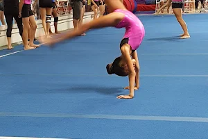 Spirit Gymnastics image