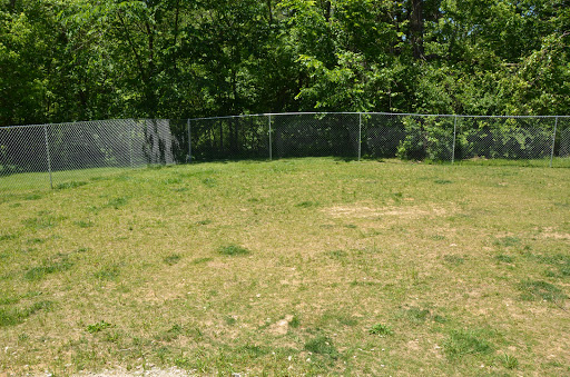 Dog Trainer «Mad 4 My Dog», reviews and photos, 702 E Temperance St, Ellettsville, IN 47429, USA