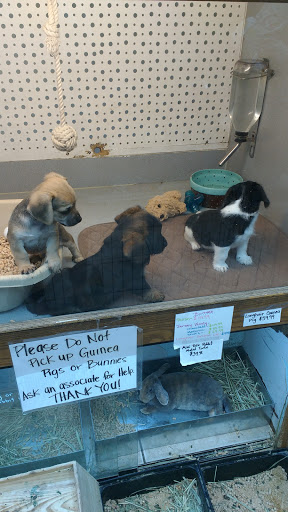 Pet Store «Animal Ark Pet Stores», reviews and photos, 33 Center St, Orem, UT 84057, USA