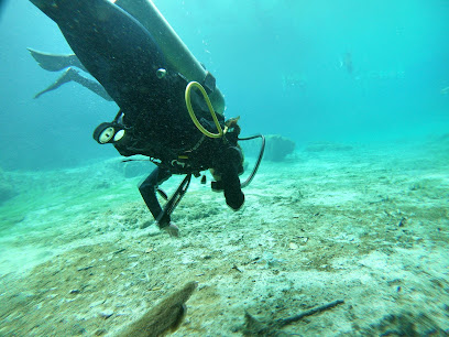 Dive and Snorkel Tulum