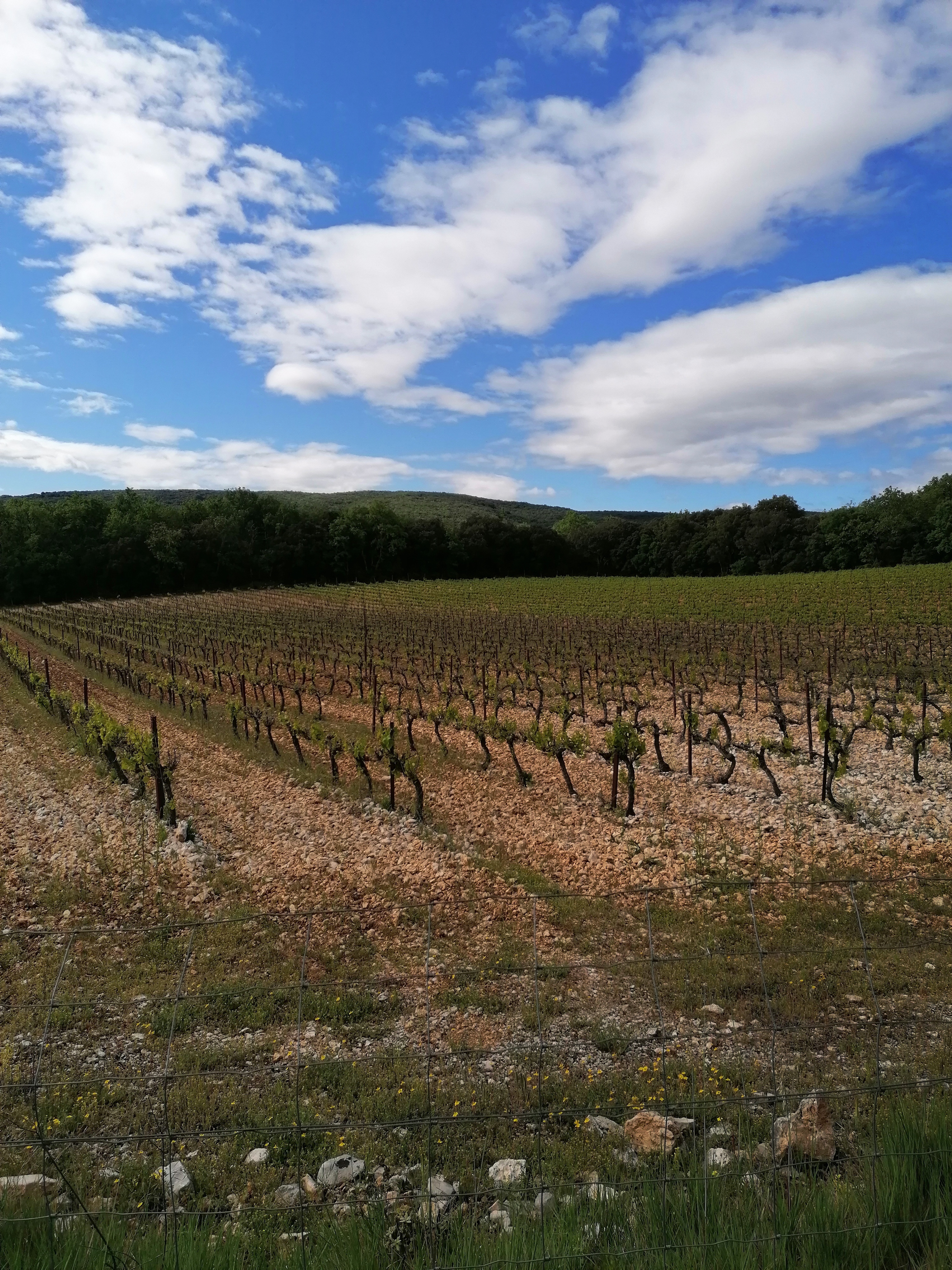 Photo n° 4 de l'avis de Anna.j fait le 24/05/2021 à 20:21