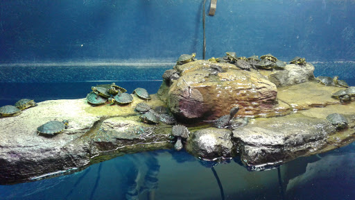 Pet Store «Incredible Pets Inc», reviews and photos, 2255 N Wickham Rd # 102, Melbourne, FL 32935, USA