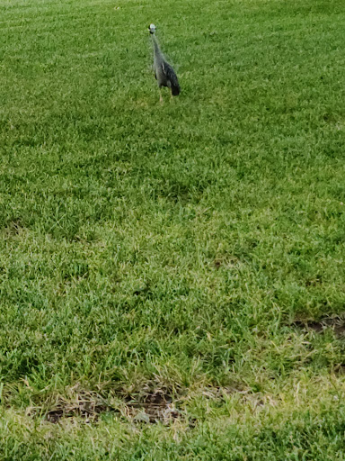 Park «Jaycee - Baker Park», reviews and photos, 500 Belmont Dr, Hurst, TX 76053, USA