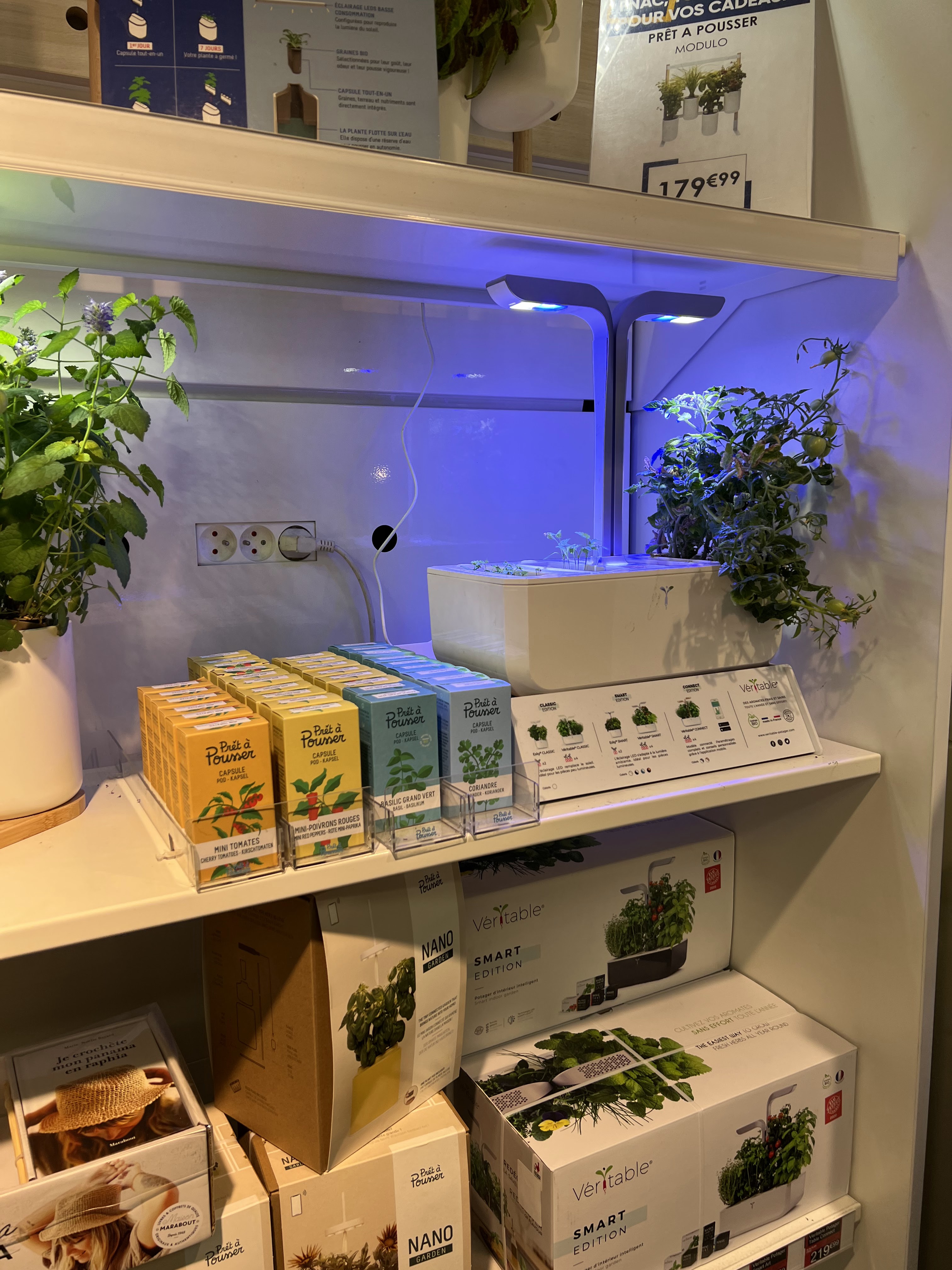 Photo n° 3 de l'avis de Redward. fait le 29/09/2019 à 10:00