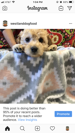 Pet Supply Store «Westland Dog Food Co Inc», reviews and photos, 37687 Ford Rd, Westland, MI 48185, USA