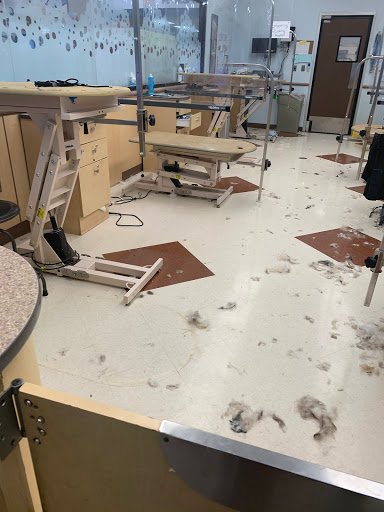 Pet Supply Store «PetSmart», reviews and photos, 2901 Texas Sage Trail, Fort Worth, TX 76177, USA