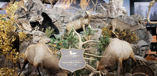 Outdoor Sports Store «Field & Stream», reviews and photos, 870 Walt Whitman Rd Ste B, Melville, NY 11747, USA