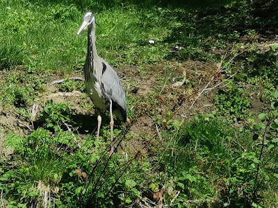 Ca Du Val D Yerres à Brunoy