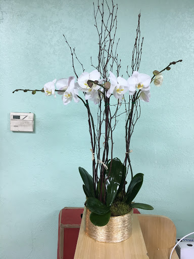 Florist «Primavera Florist Pedro», reviews and photos, 5510 W Flagler St, Coral Gables, FL 33134, USA