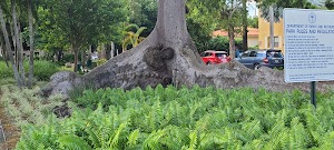 Cuban Memorial Boulevard Park - photo 44