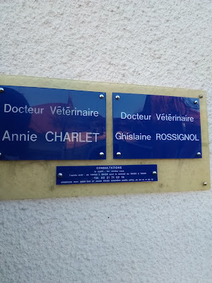 Docteur Ghislaine Rossignole à Arras