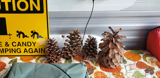 Army & Navy Surplus Shop «Navy Exchange-Dam Neck Annex», reviews and photos, 1977 Terrier Ave, Virginia Beach, VA 23461, USA