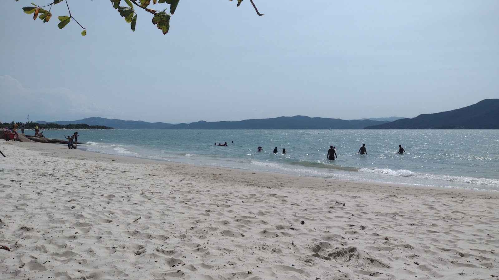Praia da Daniela-Forte'in fotoğrafı - rahatlamayı sevenler arasında popüler bir yer