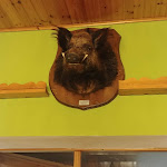 Photo n°11 de l'avis de Mauro_di_rici@gmail.com.a fait le 26/11/2022 à 00:55 sur le  The Refuge of the Boar à Castiglione Messer Marino