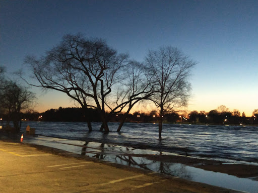 Movie Theater «Rogers Cinema 6», reviews and photos, 220 E Grand Ave, Wisconsin Rapids, WI 54494, USA