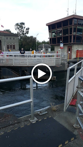 Tourist Attraction «Fremont Troll», reviews and photos, Troll Ave N, Seattle, WA 98103, USA