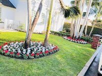 Angel,gardening Service - Photo 6 - Car repair in , Costa Mesa