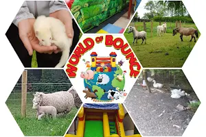 World Of Bounce And Mini Farm image
