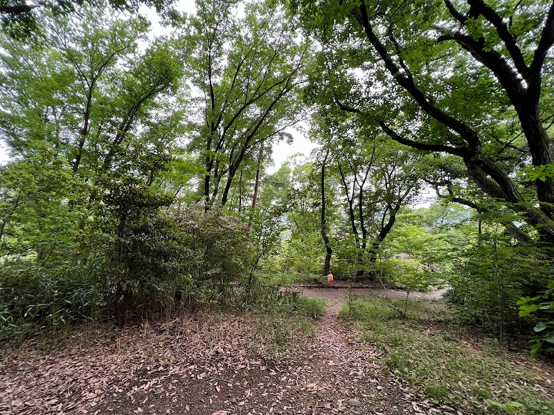 吉田山公園