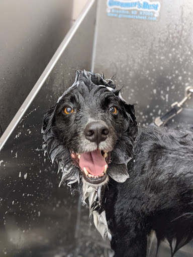 Pet Supply Store «Pet Supplies Plus», reviews and photos, 20020 Ashbrook Commons Plaza #150, Ashburn, VA 20147, USA