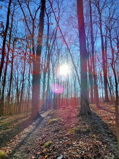 Nature Preserve «Laura Hare Nature Preserve at Downey Hill», reviews and photos, Valley Branch Rd, Nashville, IN 47448, USA