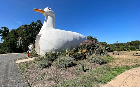 The Big Duck image