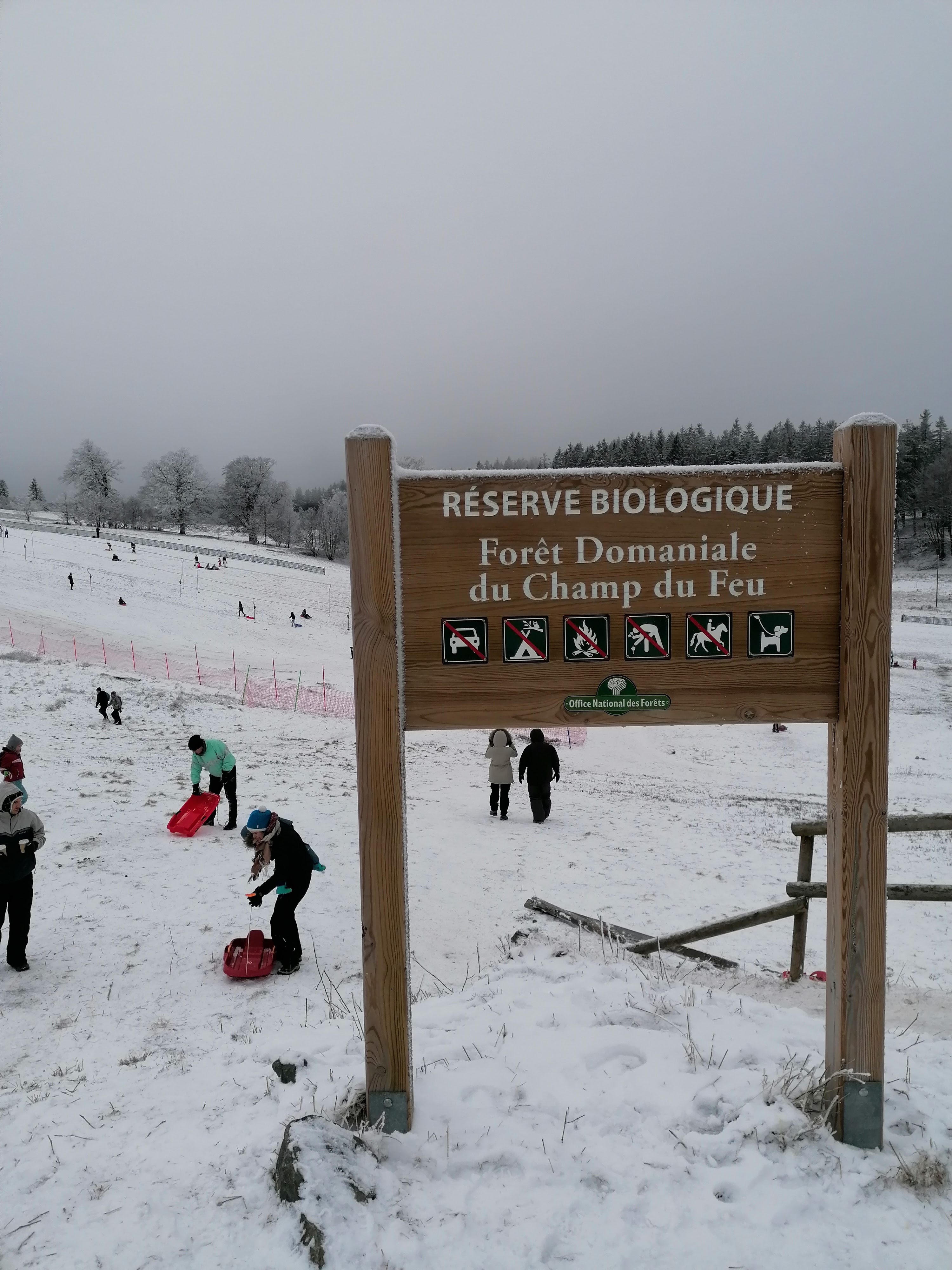 Photo n° 6 de l'avis de sumrak78. fait le 30/12/2020 à 15:39