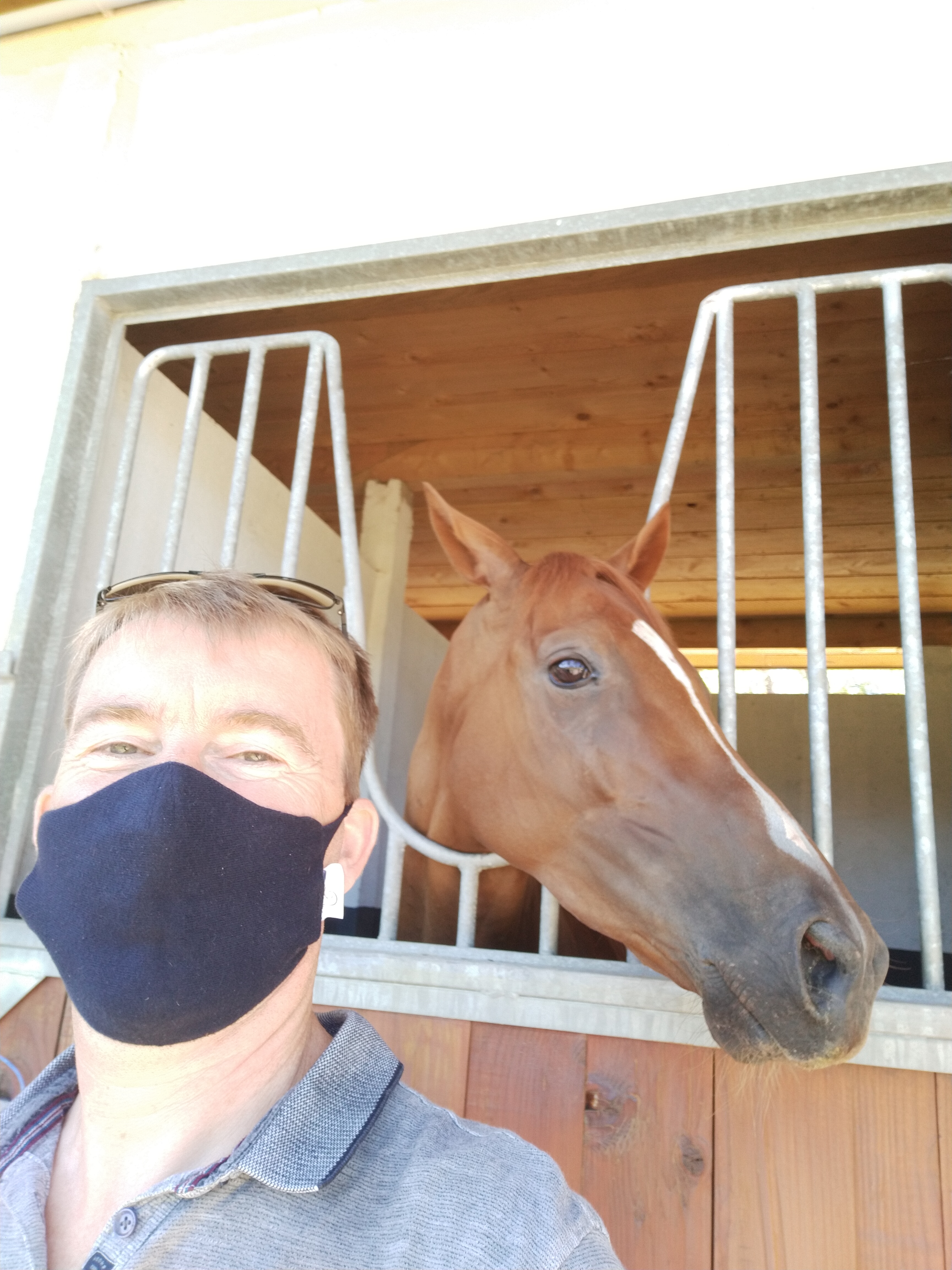 Photo n° 1 de l'avis de Sébastien.o fait le 20/07/2020 à 11:32