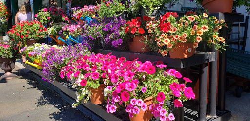 Pet Supply Store «Agway of Middlefield», reviews and photos, 147 Meriden Rd, Middlefield, CT 06455, USA