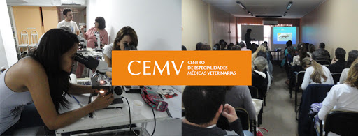CEMV - Veterinary Medical Specialties Center
