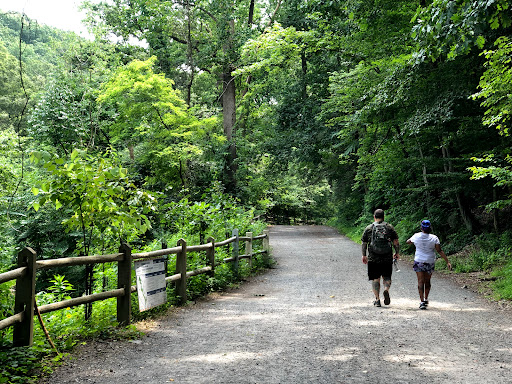 Dog friendly parks in Philadelphia