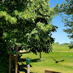 Photo n°8 de l'avis de Nataliya.r fait le 31/07/2022 à 16:03 sur le  Golf Club Villa Carolina à Capriata d'Orba