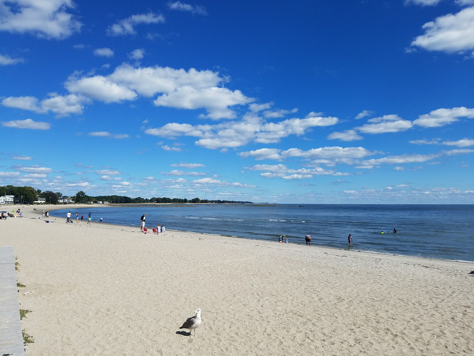 Compo Beach的照片 带有蓝色的水表面