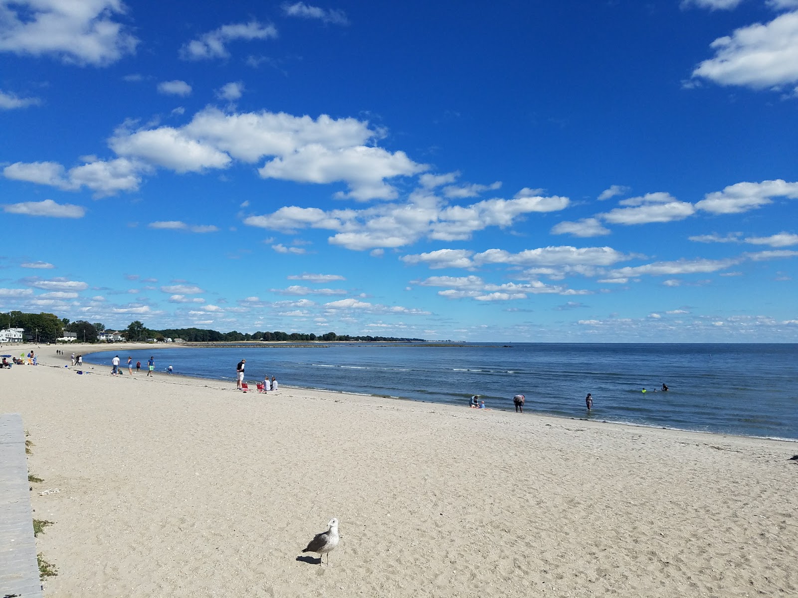 Foto af Compo Beach med blåt vand overflade