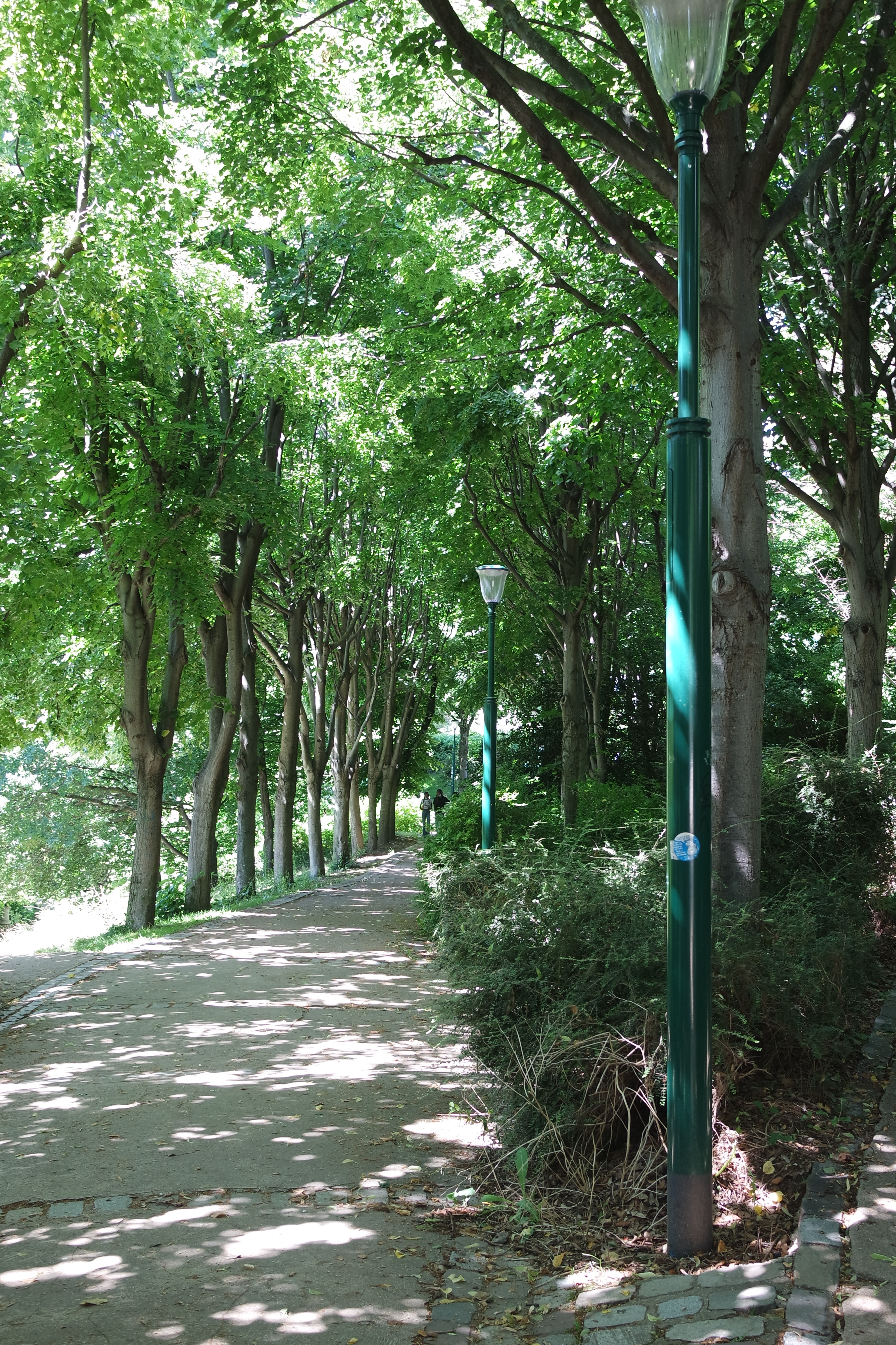 Photo n° 3 de l'avis de Angèle. fait le 29/07/2021 à 11:28