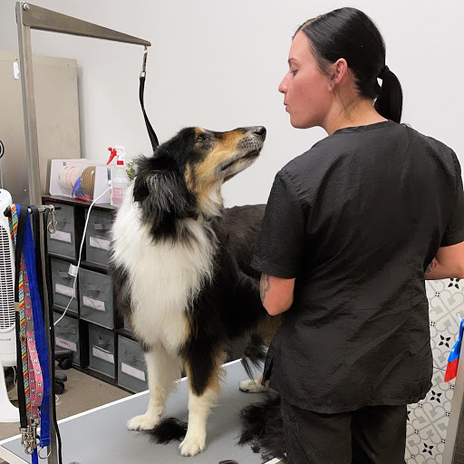 Pet Supply Store «Pet Club Maricopa», reviews and photos, 21145 N John Wayne Pkwy, Maricopa, AZ 85139, USA