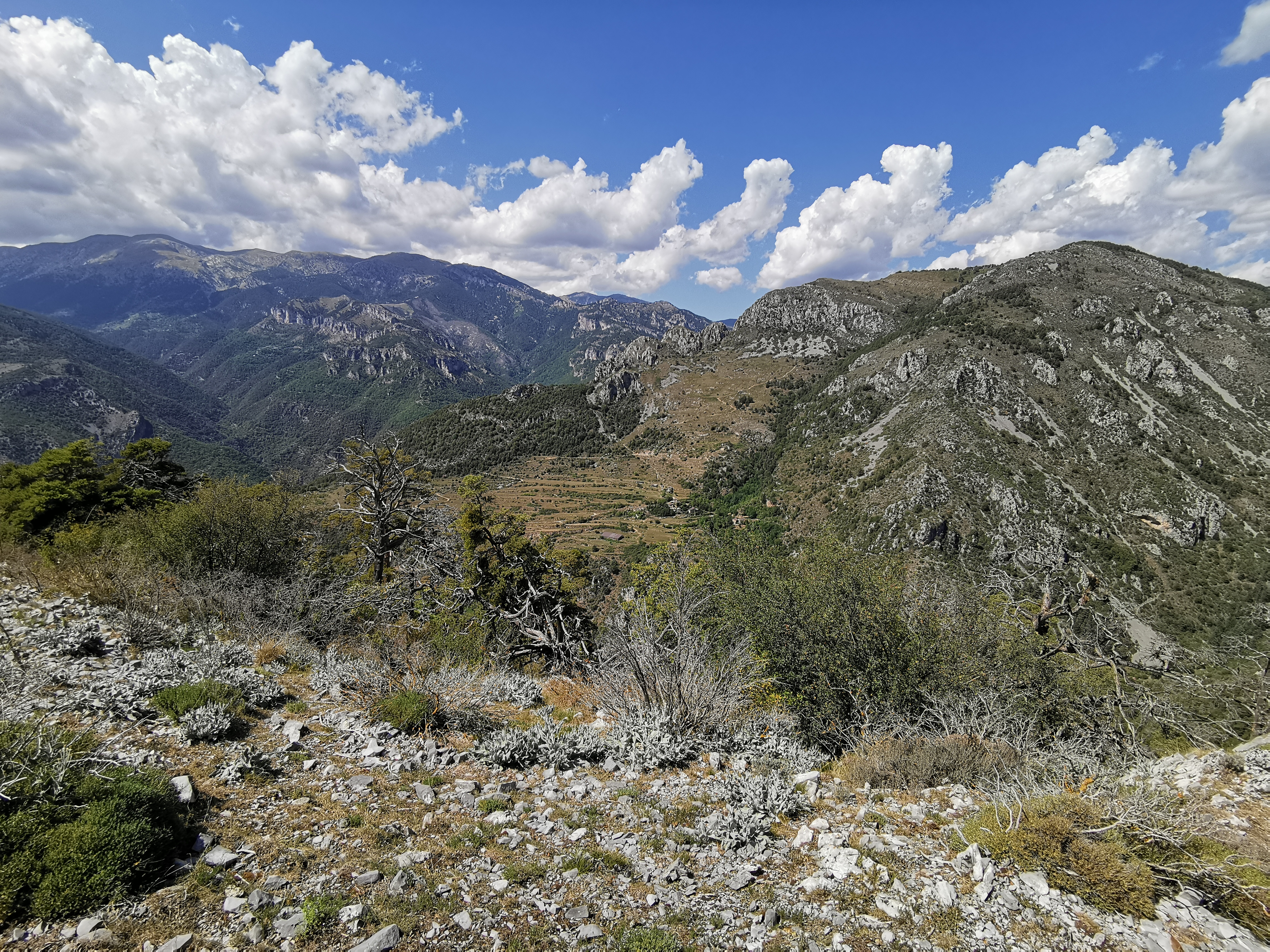 Photo n° 7 de l'avis de Gérald.A fait le 27/07/2022 à 15:40