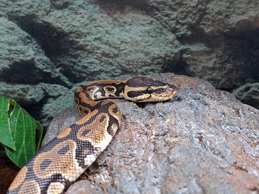 Pet Supply Store «Petco Animal Supplies», reviews and photos, 22 Peninsula Center, Rolling Hills Estates, CA 90274, USA