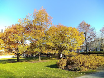 Confederation Park