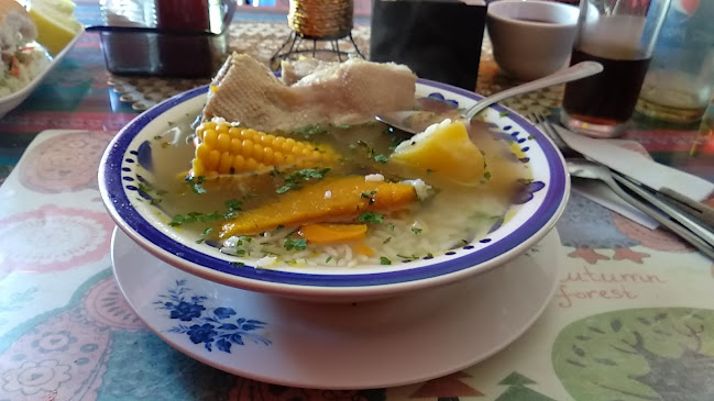 Opiniones de Restorán Peruano en Illapel - Restaurante