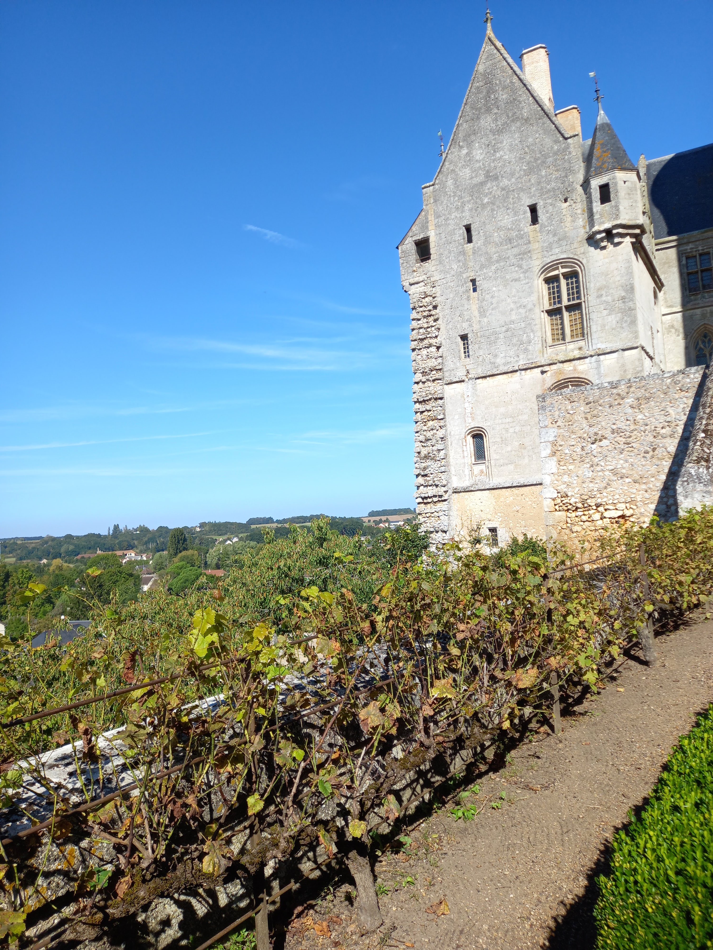 Photo n° 6 de l'avis de Lucien.a fait le 23/09/2021 à 19:17