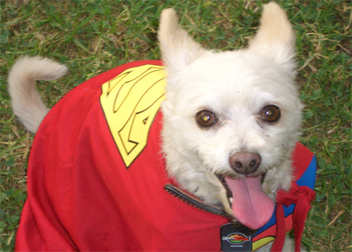 Pet Store «Katie’s PET DEPOT®», reviews and photos, 1941 Foothill Blvd, La Verne, CA 91750, USA