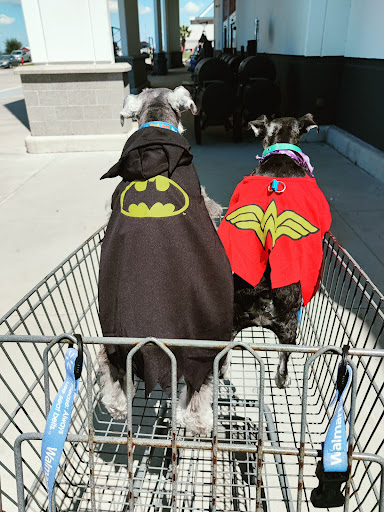 Sporting Goods Store «Academy Sports + Outdoors», reviews and photos, 11900 US-181, Portland, TX 78374, USA