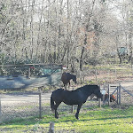 Photo n°37 de l'avis de carmelina.o fait le 28/12/2019 à 19:56 sur le  Agriturismo Tenuta Monte la Guardia à Castel Giuliano