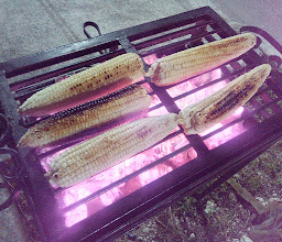 El Salbutelón, Salbutes y Empanadas. photo