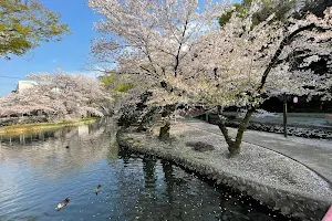 Wakaizumi Daini Park image