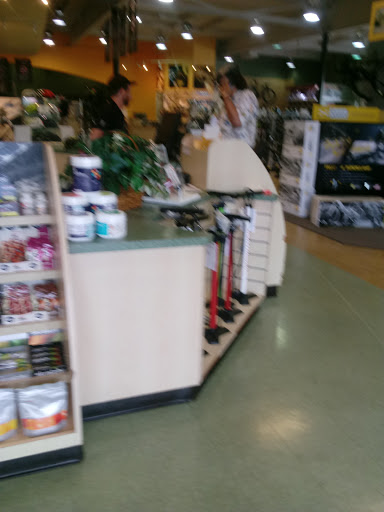 Bicycle Store «Jax Bicycle Center», reviews and photos, 2520 E Chapman Ave, Fullerton, CA 92831, USA