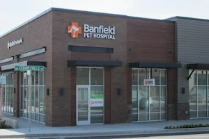 Banfield Pet Hospital image